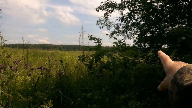 Самая высокая точка Владимирской области - урочище Кузнецово - 21 ч. из 22 смотреть онлайн