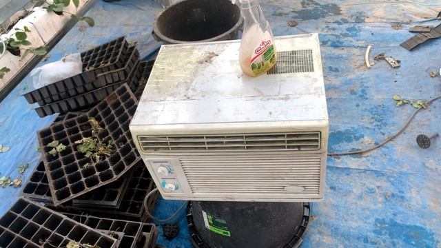 Зимняя теплица. Температура . Влажность. Клубника смотреть онлайн