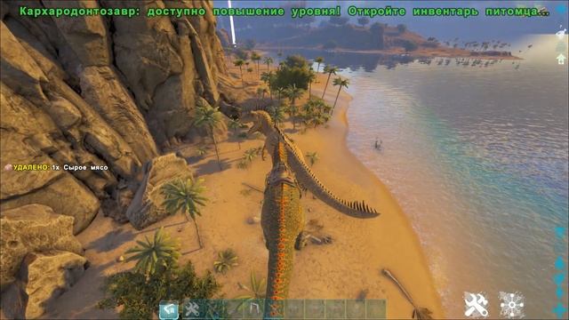 КАРХАРОДОНТОЗАВР - ПРИРУЧЕНИЕ, ОБЗОР, СПОСОБНОСТИ, РАЗВЕДЕНИЕ МЕСТА СПАВНА CARCHARODONTOSAURUS