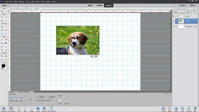 Resize Images the Right Way in Photoshop Elements смотреть онлайн