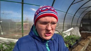 Секреты выращивания цветной капусты