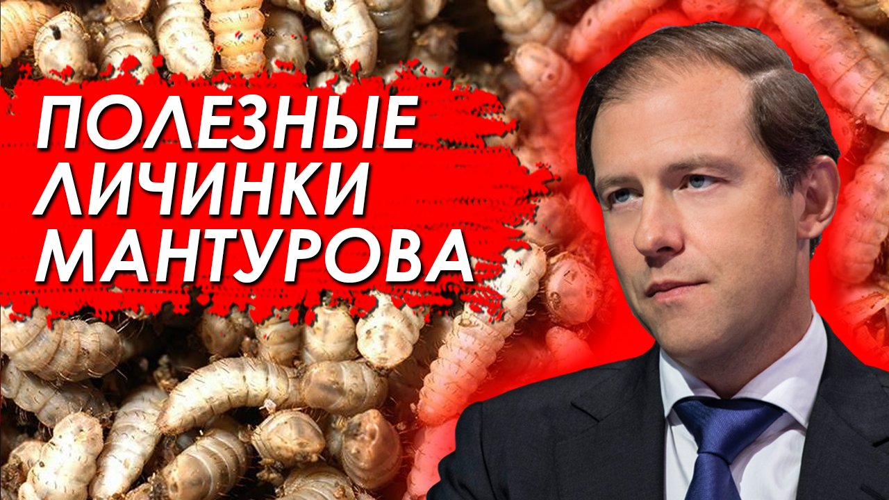 Вице-премьер министр России продвигает личинки мух. Полезные личинки Дениса Мантурова.