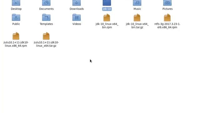 Oracle JDK 10 Zip Installation in CentOS 6.9 | JavaSE 10 Released смотреть онлайн