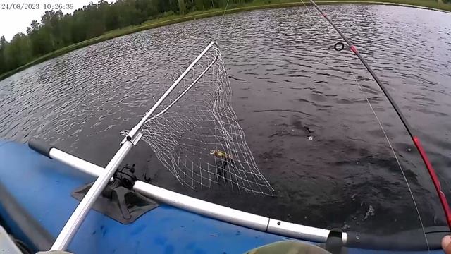 Интересный водоём (3)