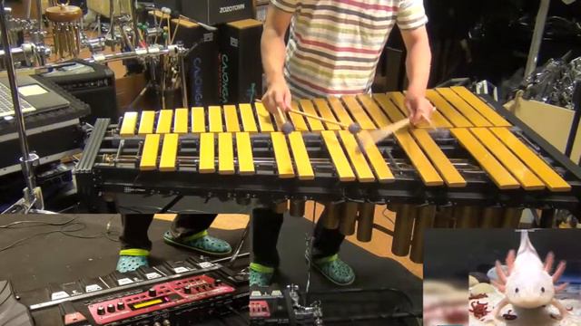 Vibraphone&Loop #1