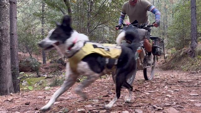 Dogpacking in the Copper Canyons_Ep_3 OmniTierra Bikepacking WorldTour смотреть онлайн