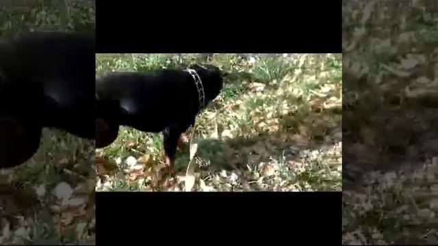 В Нижнекамске / было круто:3 смотреть онлайн