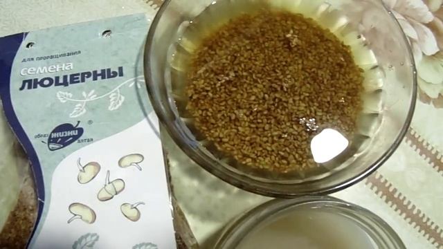 Люцерна Молоко из семян люцерны Все витамины здесь смотреть онлайн