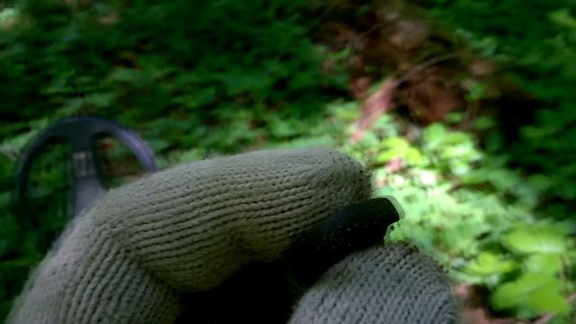 Лесное урочище. Сельцо 18 века. Поиск с X-Terra 705 смотреть онлайн