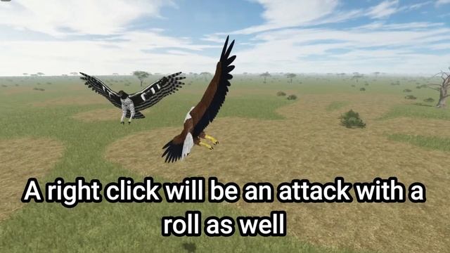 Roblox │ Testing A │ Bird Attacks │ Update │ Eagles/Vultures смотреть онлайн