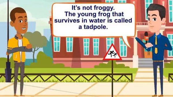 Questions and answers in English