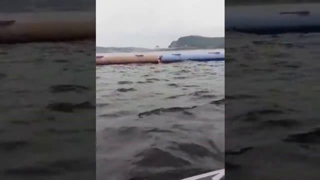 Выходные на водохранилище Бурейской ГЭС. Лежачий полицейский на воде. Покатушки. смотреть онлайн