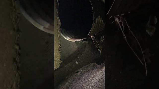Exploring abandoned sewer in the middle of the woods... смотреть онлайн