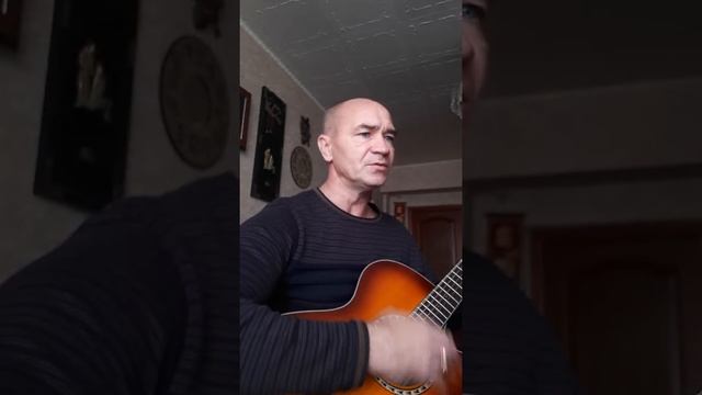 Василёк и ромашка. смотреть онлайн
