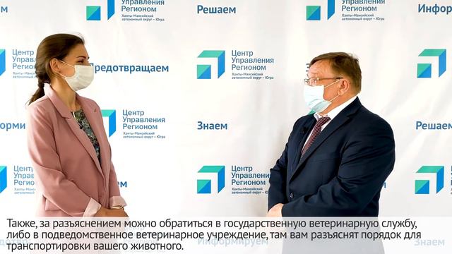 Руководитель ветеринарной службы рассказывает о правилах перевозки животных смотреть онлайн