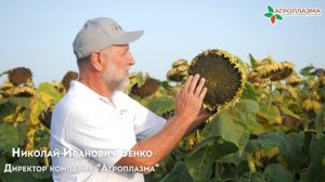 Экспресс® - Экселент