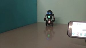 Робот MiP WowWee. Черный. Распаковка. Знакомство