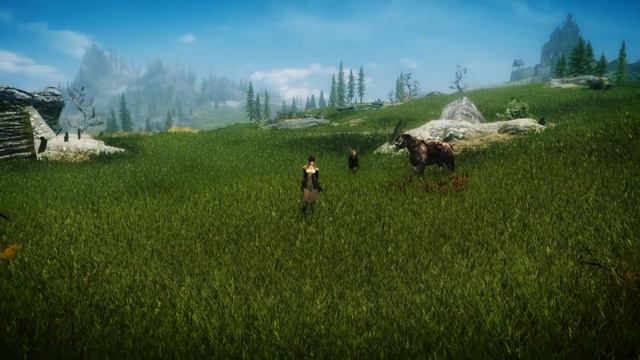 Skyrim mod Grass Field смотреть онлайн
