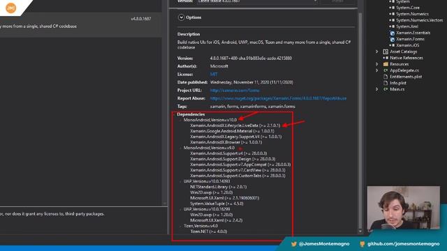 Managing & Updating Xamarin NuGet Packages Efficiently смотреть онлайн