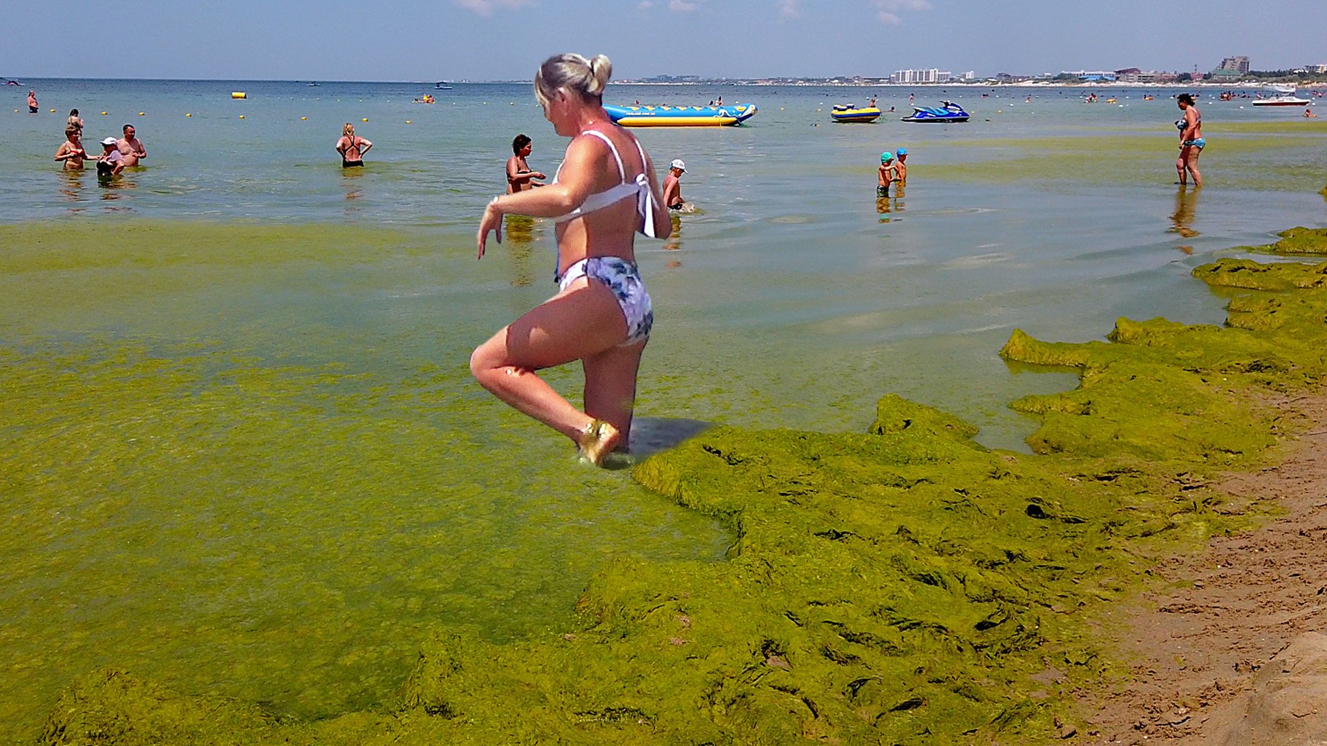 Анапа. УЖАС! Зеленые водоросли на пляже. Без комментариев смотреть онлайн