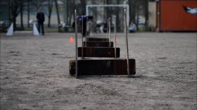 флайбол смотреть онлайн