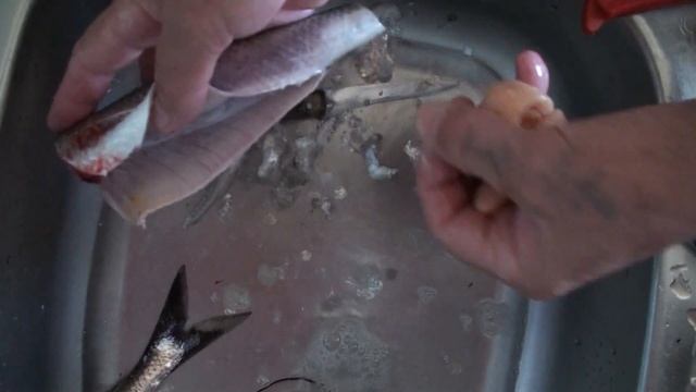 20180605 г.Волжский , маринуем каспийскую селедку. смотреть онлайн