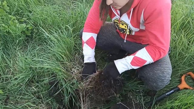 Металлическая поляна 2 (NoktaMakro Simplex Plus)