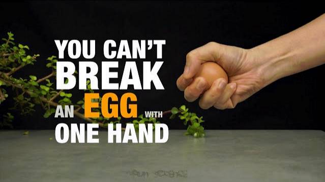 12 EGG EXPERIMENTS AND TRICKS