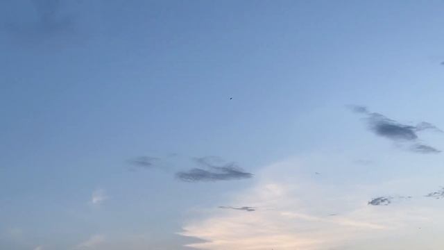 FMS Futura v3 PNP w/ Reflex v2 Sport Jet: Bonus Evening Flight смотреть онлайн