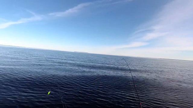 Открытие сезона 2022 на реке Вожега, озере Воже День 2 смотреть онлайн