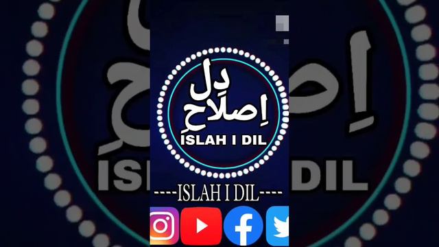 who was Alama Anwar Shah Kashmiri (R.A) By Akbar Allaabadi SB ● Mufti Nazir Ahmad Qasmi SB DB смотреть онлайн