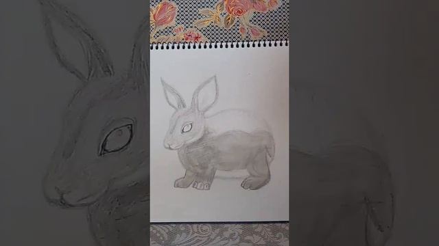 Как нарисовать ЗАЙЧИКА. Для начинающих. смотреть онлайн