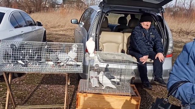 Ярмарка голубей, декоративных птиц и животных г. Бородянка Киевская область 20.02.2022 года.Часть3.