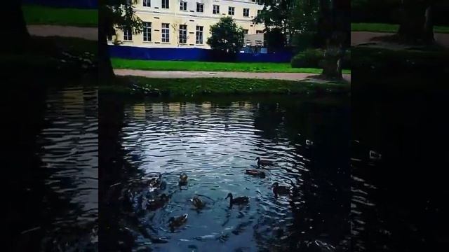 Санкт-Петербург, Александровский парк?? смотреть онлайн