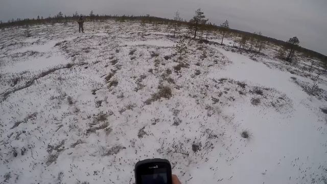 Подготовка к весенней охоте на гусей. Часть 1.