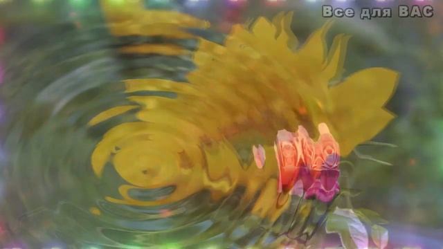 Долгие и объемные ресницы