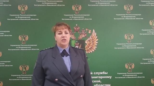 Качество зерна смотреть онлайн