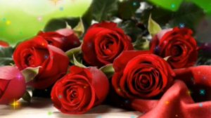 Руслан Ахмадов 1уьйре йита реза ву