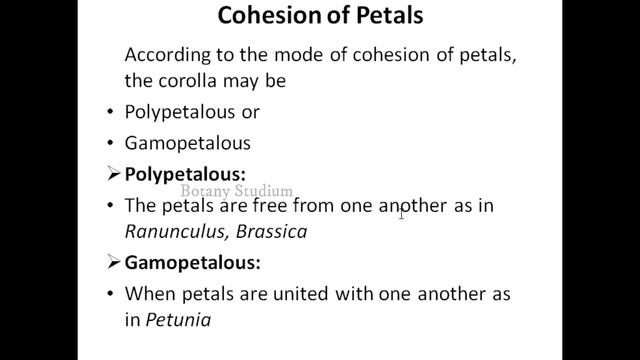 Flower Description || Calyx And Corolla || Plant Sytematics || Botany Studium