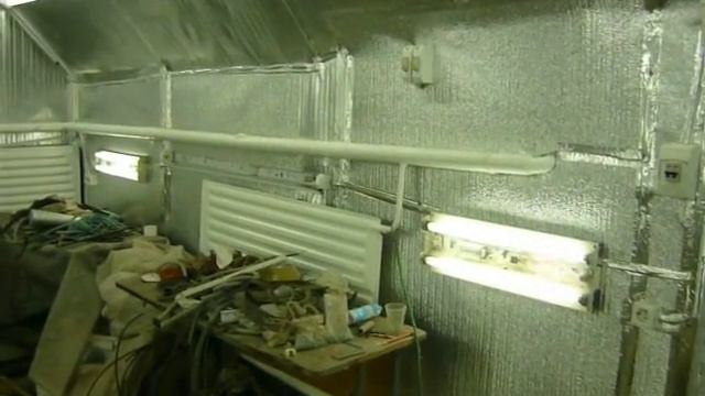 Чистый воздух: экология и комфорт