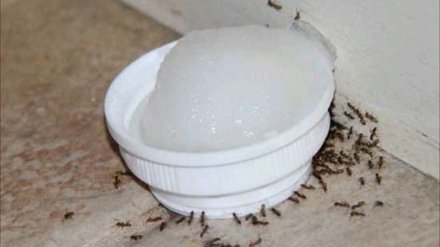 Строительные Палитры