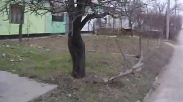 как ГАИ нарушает в Евпатории смотреть онлайн