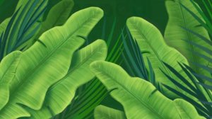 Забота о малыше Леопарде: сюрпризы, Поп ит. Играем в игру Amy Care My Leopard Baby Part 1 #zyrikitv