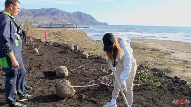 Зелёный фестиваль Таврида.АРТ. 28 октября 2023. Академия Меганом смотреть онлайн