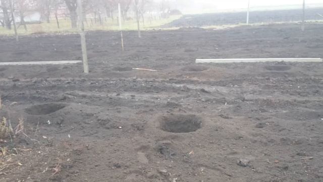 Подготовка участка под посадку слив и яблок. смотреть онлайн