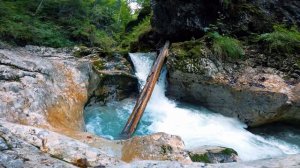 4К Малый горный ручей / Шум горного ручья / Релаксирующее видео