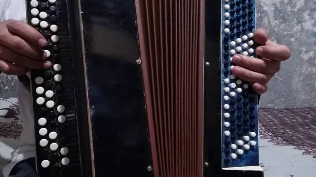 гр."CЕКТОР ГАЗА" - ВЗЯЛ ВИНУ НА СЕБЯ [кавер на баяне] смотреть онлайн