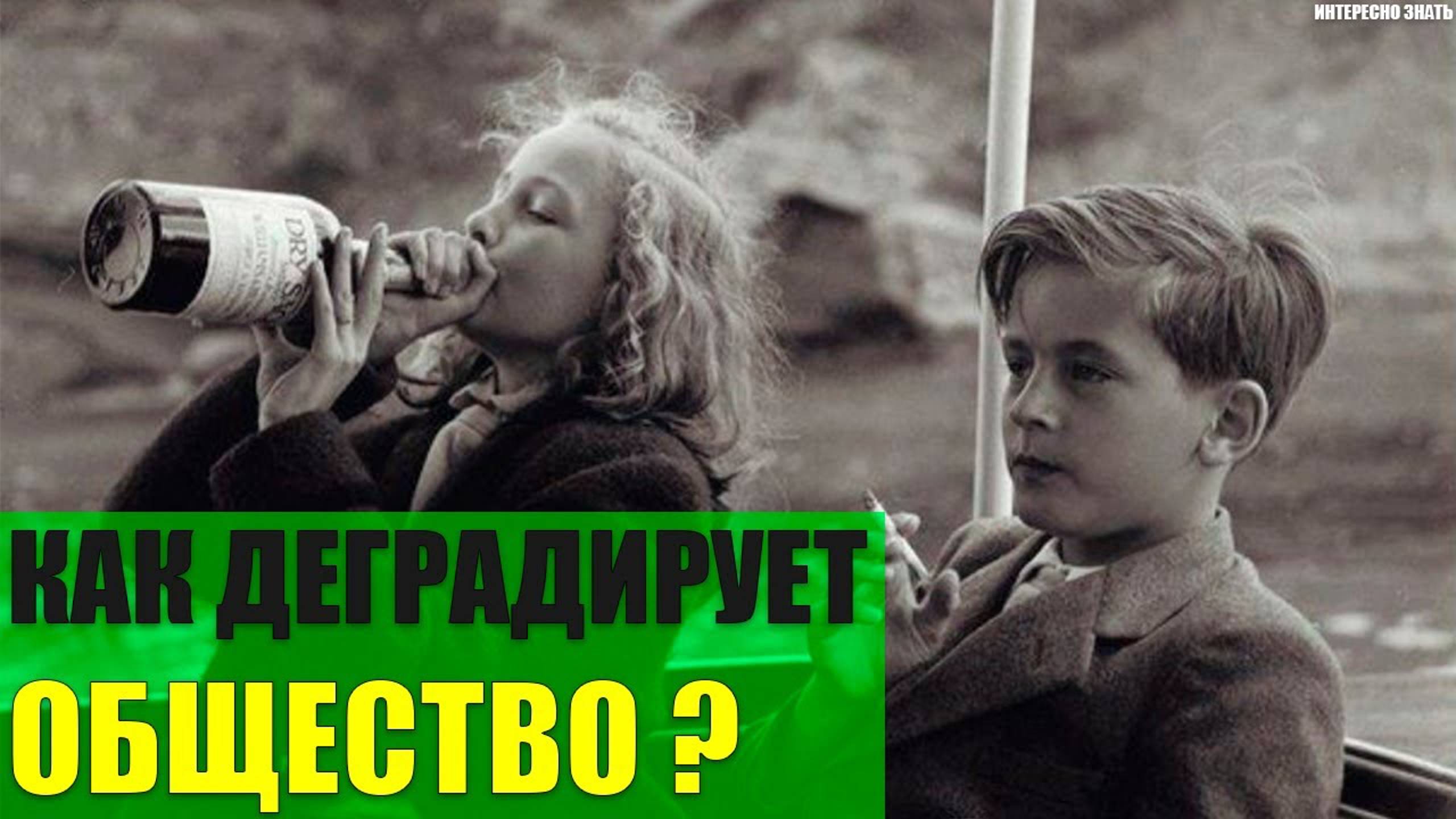Как деградирует современное общество? смотреть онлайн