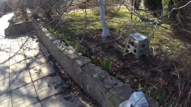 КАЛИНА, ОБЛЕПИХА, БОЯРЫШНИК. Обработка весной от вредителей. смотреть онлайн