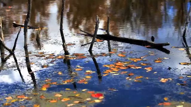 Evlakhov 1963 SY03 Arvid Jansons смотреть онлайн